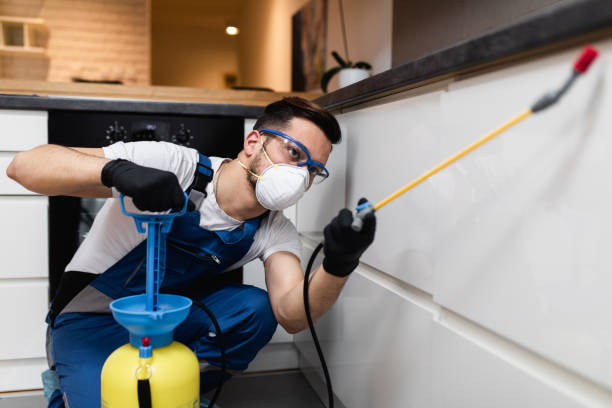 Best Pest Control Near Me  in Beltsville, MD