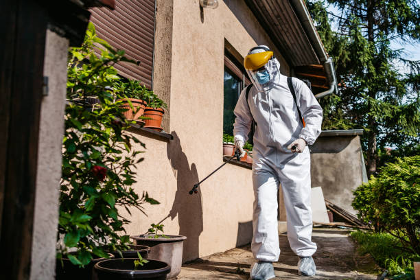 Best Mosquito Control Services  in Beltsville, MD