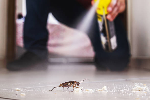 Best Pest Inspection Near Me  in Beltsville, MD