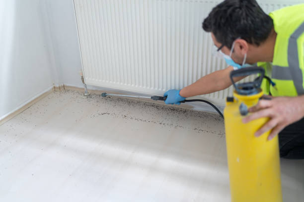 Best Affordable Pest Control Services  in Beltsville, MD